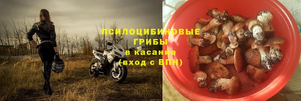 MESCALINE Инсар