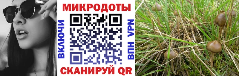 Галлюциногенные грибы прущие грибы Маркс