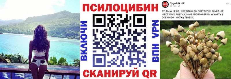 Псилоцибиновые грибы Cubensis Купить закладки Маркс